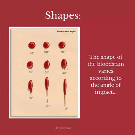 Bloodstain pattern analysis | PDF