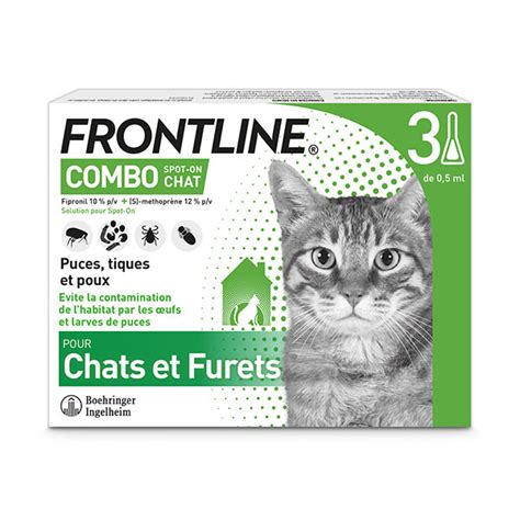 Catégorie chats