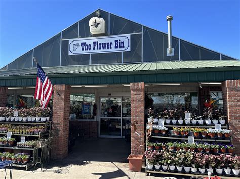 Plants - The Flower Bin