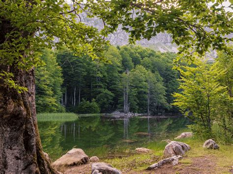 Discovering Serenity: Top 10 Nature Trails Near Mumbai and Pune