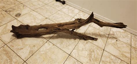 How to Test Wood for Aquariums 的图像结果