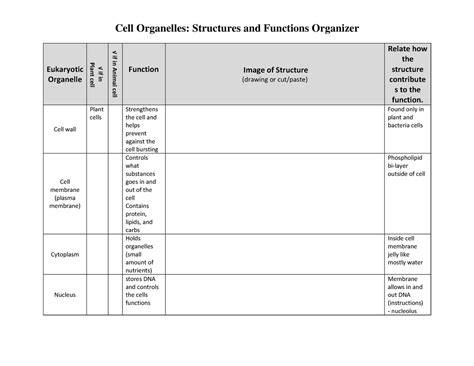 Image result for Cell Function Table