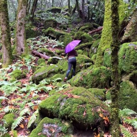 Sugarloaf Ridge State Park 2021, #1 top things to do in kenwood ...