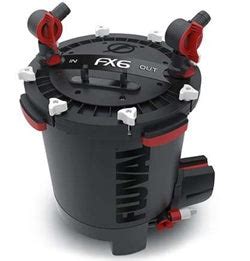 Fluval Canister FX6 | Aquarium Aquascaping – Splashy Fin Aquarium