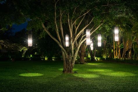 Tree with lamp lighting | Free Photo