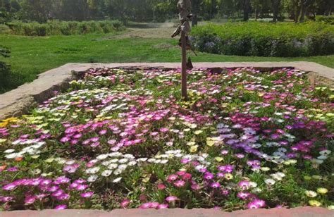 Park And Gardens (Horticulture)