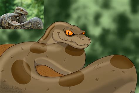 Image result for Reticulated Python Clip Art