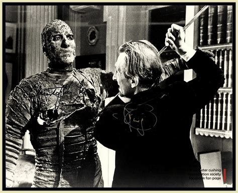 The Black Box Club: 'HE WHO ROBS THE GRAVES OF EGYPT DIES!' THE MUMMY ...