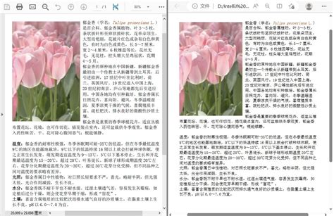 如何通过Java代码将 PDF 转为 HTML 格式_Java_在下毛毛雨_InfoQ写作社区