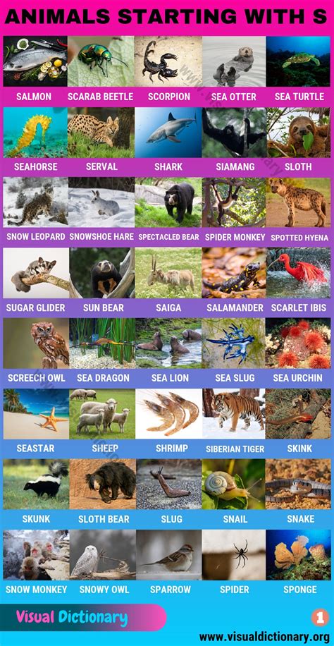 Animals that Start with S: Huge List of 120 Animals Starting with S ...