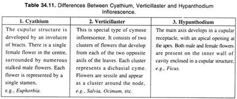 Major Types of Inflorescence - Class 11 PDF Download