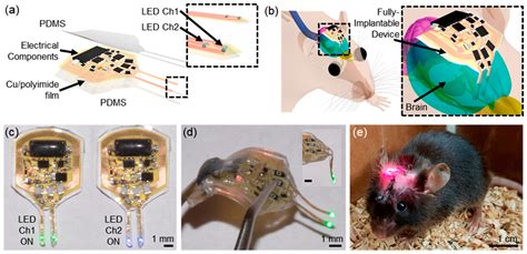 Wireless Optogenetic Microsystems Accelerate Artificial Intelligence ...
