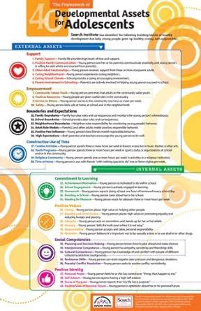 Buy 40 Developmental Assets for Adolescents / 40 Elementos ...