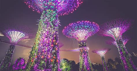 Singapore Visa Guide: Types, Fees, and How to Apply