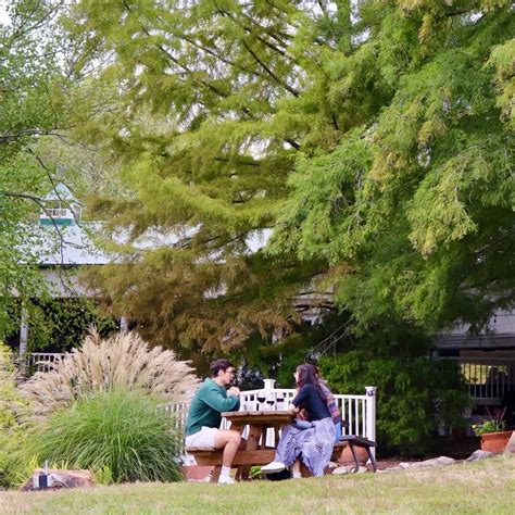 Defiance Ridge Vineyards