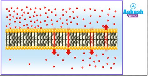 Plasmolysis in Biology: Definition, Types and Importance | AESL