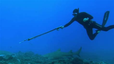 Adventure Film 的图像结果