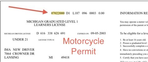 Michigan Driver's License Test 的图像结果