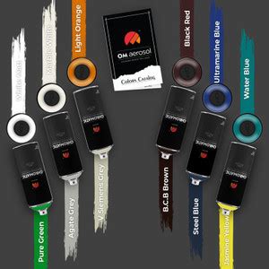 Chromatic Multicolor Spray Paint 400 ml Price in India - Buy Chromatic ...