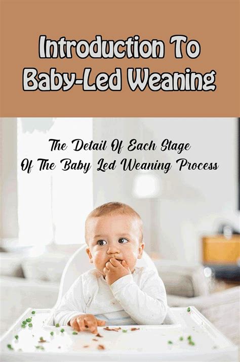 Introduction To Baby-Led Weaning: The Detail Of Each Stage Of The Baby ...