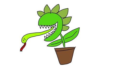 Python Higher Order Function 的图像结果