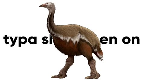 What's The 'I'm The Biggest Bird' Song? The TikTok Meme Explained | Know Your Meme