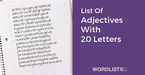 List Of Nouns Starting With "X"