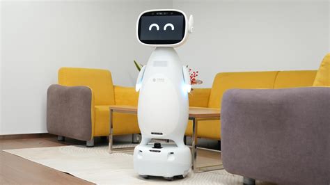 Home Service Robot 的图像结果