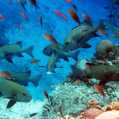 MATAKING ISLAND (2026) All You Need to Know BEFORE You Go (with Photos ...