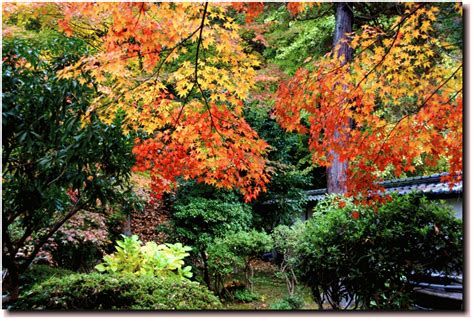 Image result for Link Style Sheet CSS with HTML