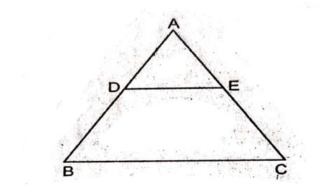 Area of Similar Triangles 的图像结果