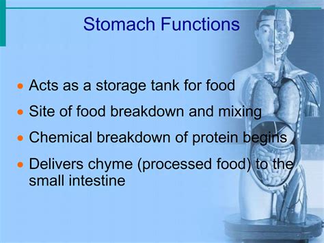 Anatomy of Git System in Amharic 的图像结果
