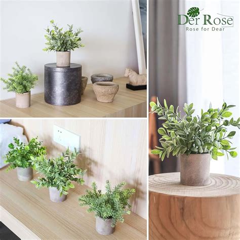 DerRose Der Rose 3 Pack Mini Potted Fake Plants Artificial India | Ubuy