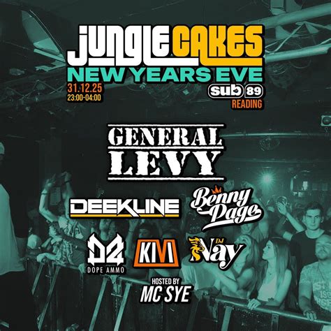 Jungle Cakes NYE - Reading - Sub 89, Sub 89, Reading, 31 December to 1 ...