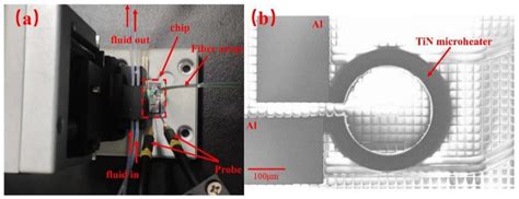 Thermo-Optical Tuning Cascaded Double Ring Sensor with Large ...