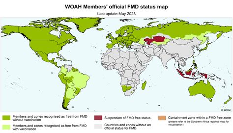 Foot and mouth disease - WOAH - World Organisation for Animal Health