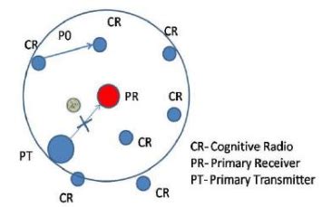 Define Local 的图像结果