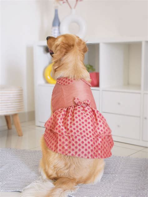 Dogs Frock in Pink Printed | VASTRAMAY – vastramay