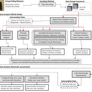 Image result for String Pulling Algorithm