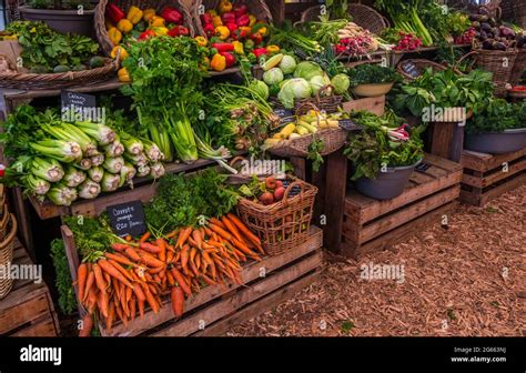 Produce 的图像结果