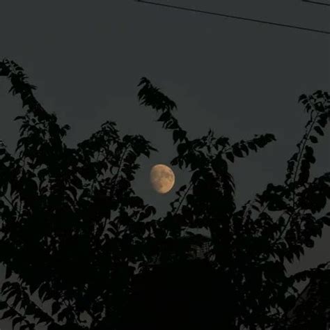 Image result for Bbbbbbbbbbbbbbbb