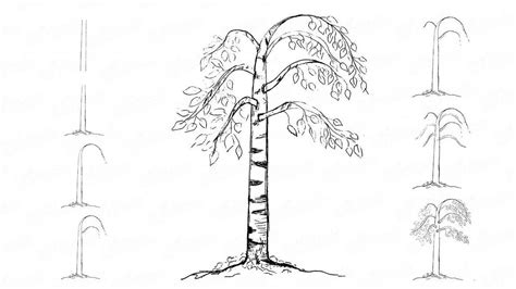 Image result for While Loops Python Explained