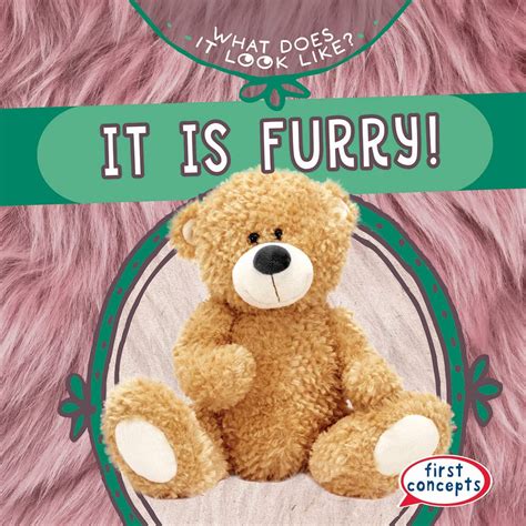 It Is Furry! (What Does It Look Like?; First Concepts) : Gottlieb, Beth ...