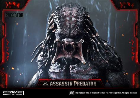 Image result for Assassin Predator