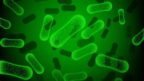 5 Bacteria Types Killed Nearly 6.8 Lakh Indians In 2019: Lancet Study ...