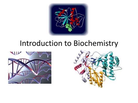 Biochemistry Tutorials 的图像结果