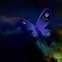 Image result for Beautiful Butterfly Wallpaper