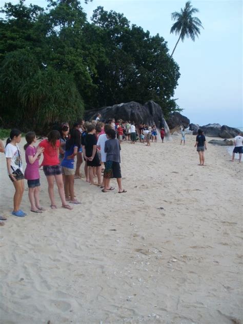 Image result for Turtle Method Multiplication