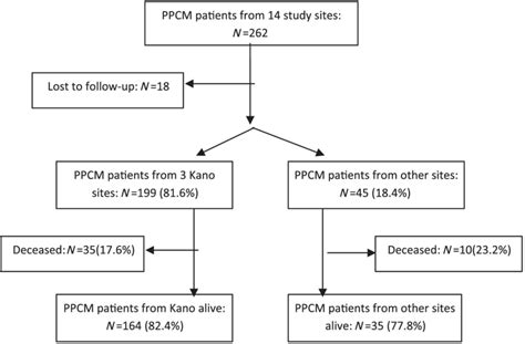 Image result for Ppcm Python Recursive
