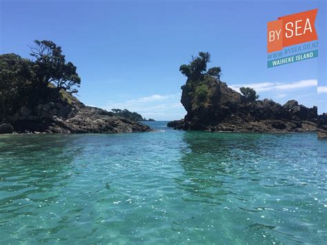 WAIHEKE BY SEA (2026) All You Need to Know BEFORE You Go (with Photos ...